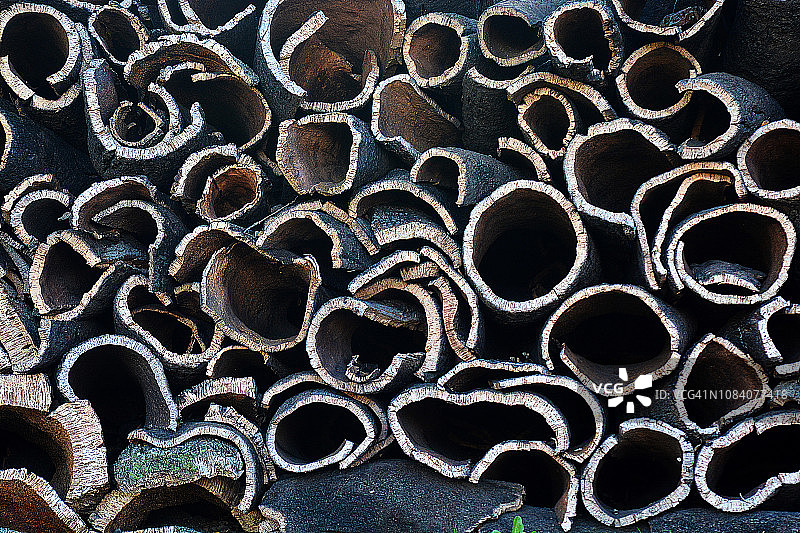 葡萄牙阿尔加维软木库存图片素材