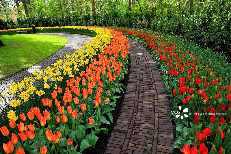 库肯霍夫花园图片素材