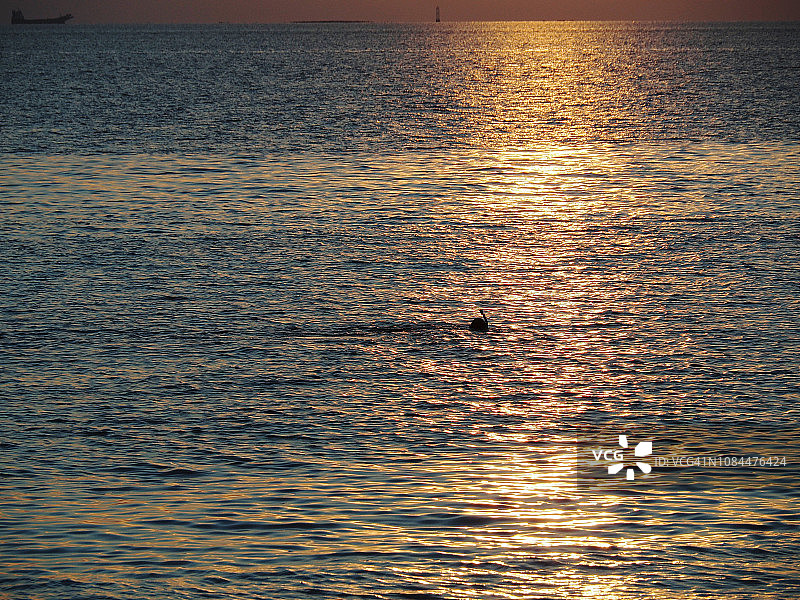 马尔代夫埃里亚度热带泻湖日落浮潜图片素材
