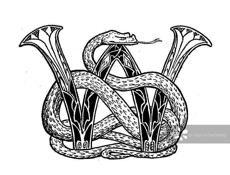 阿拉伯之夜寓言书中的新艺术风格复古雕刻插图：字母W图片素材