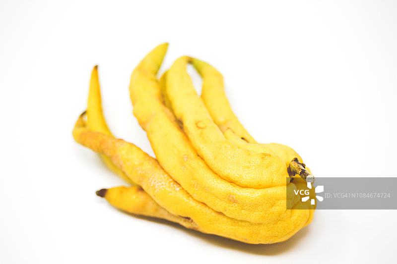 佛手柑，白色背景特写图片素材