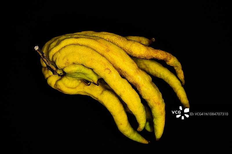 佛手柑图片素材