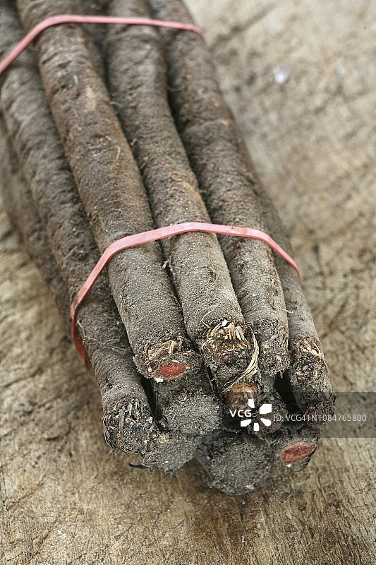 成捆的婆罗门参图片素材