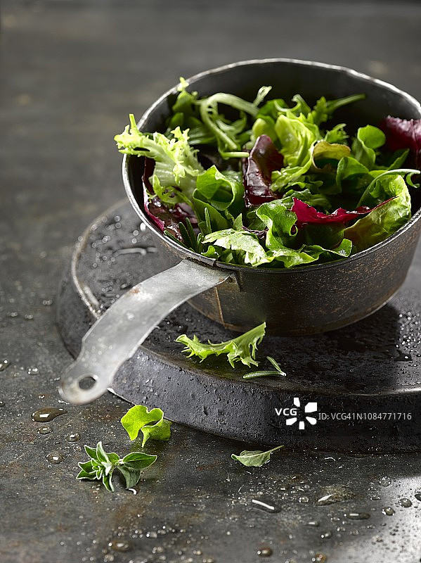 新鲜洗净的混合生菜叶图片素材