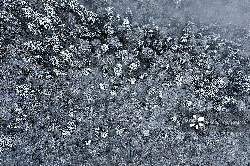 无人机拍摄的冬季雪景森林图片素材