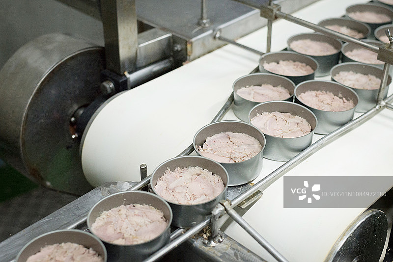 泰国自动传送带上的金枪鱼罐头图片素材