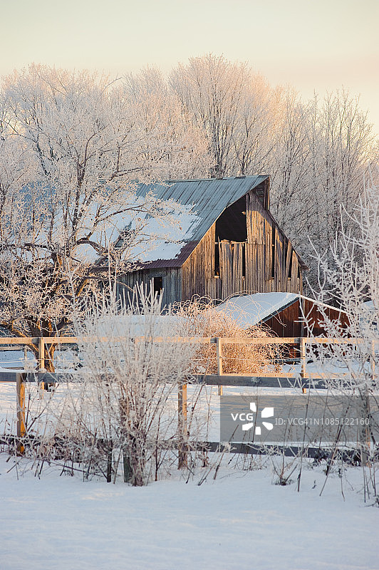 加拿大新不伦瑞克省弗雷德里克顿冰层下的古朴谷仓图片素材
