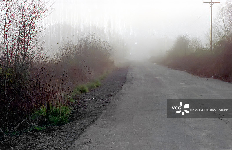 背景：乡村小路上寒冷的雾天早晨图片素材
