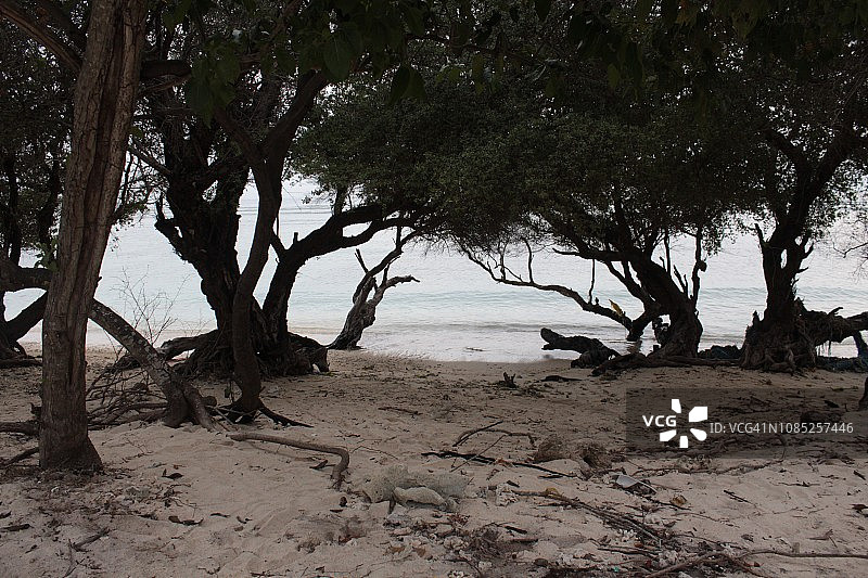 吉利特拉旺岸海滩图片素材