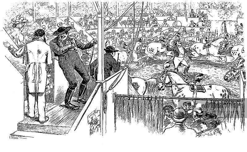 马戏团中的马匹训练-1896年图片素材