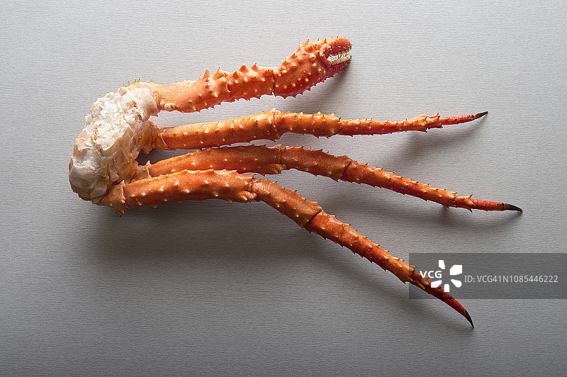 棕色帝王蟹图片素材