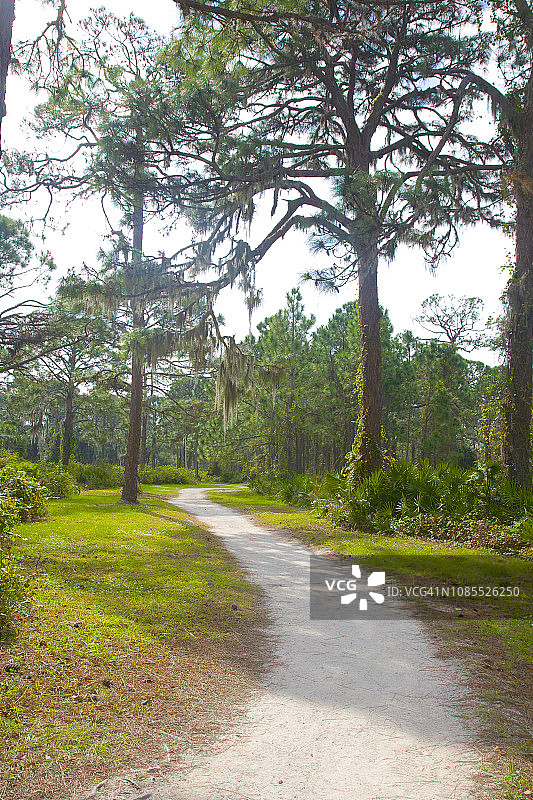 佛罗里达州恩格尔伍德柠檬湾公园图片素材