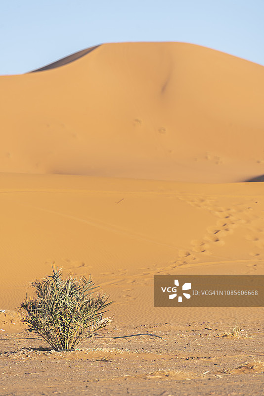 撒哈拉沙漠图片素材