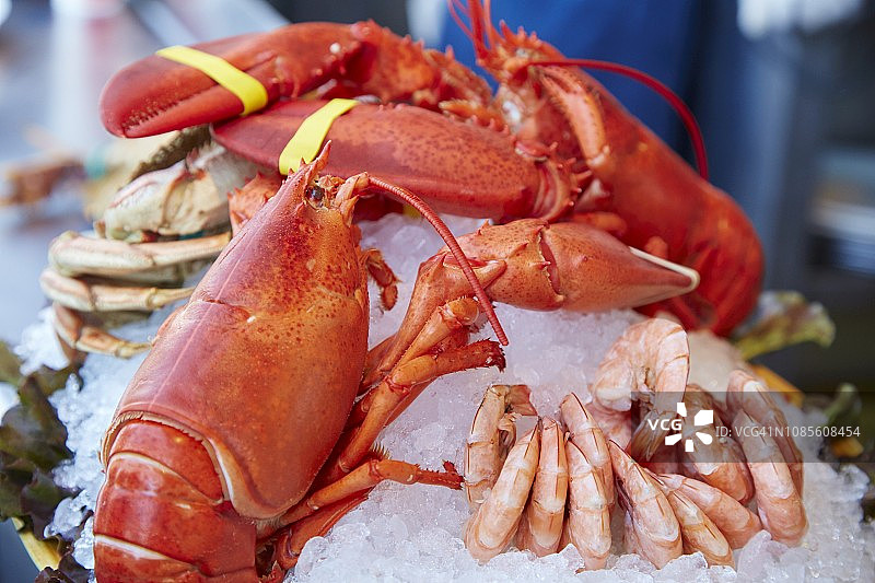 冰上海鲜图片素材