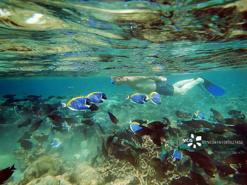 年长的男人在马尔代夫泻湖中与热带鱼一起浮潜图片素材