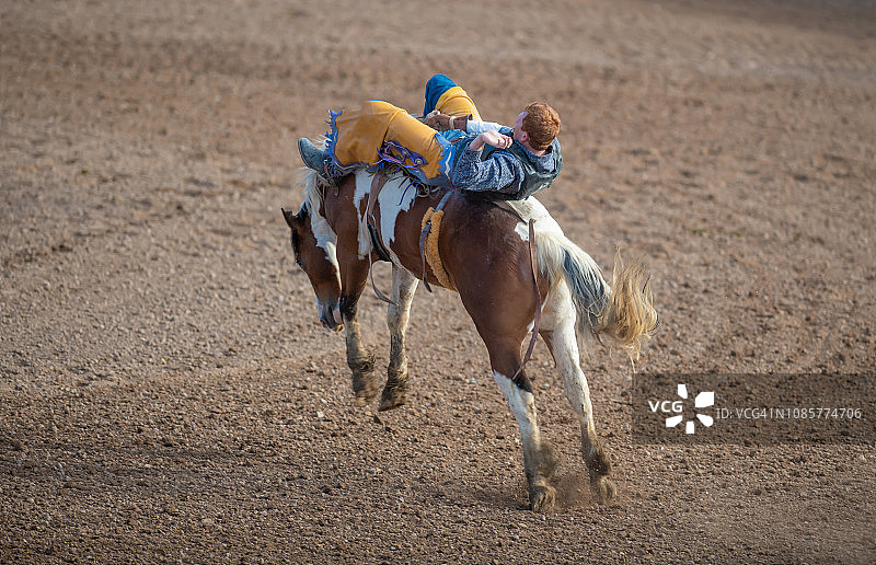 烈马牛仔竞技赛事图片素材