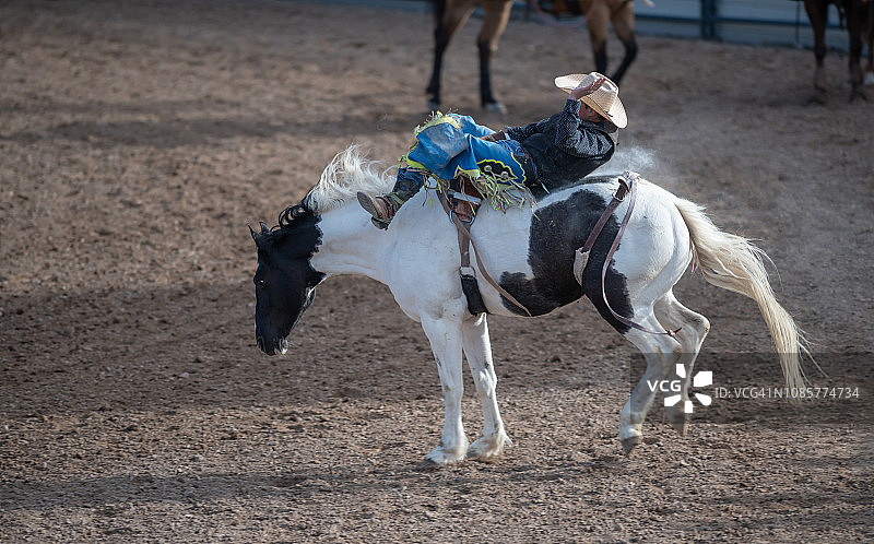 烈马牛仔竞技赛事图片素材