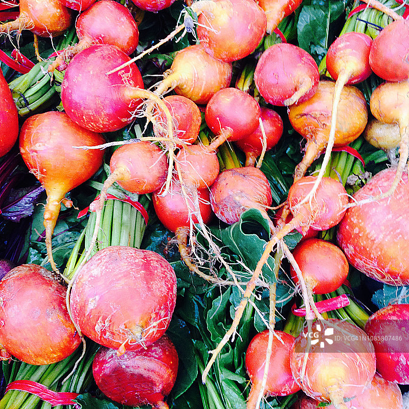 加利福尼亚州有机农贸市场上的大量金色甜菜图片素材