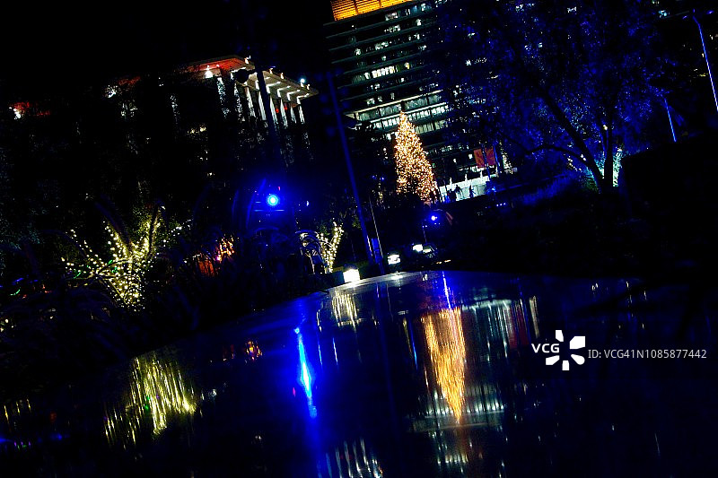 中央公园圣诞树图片素材