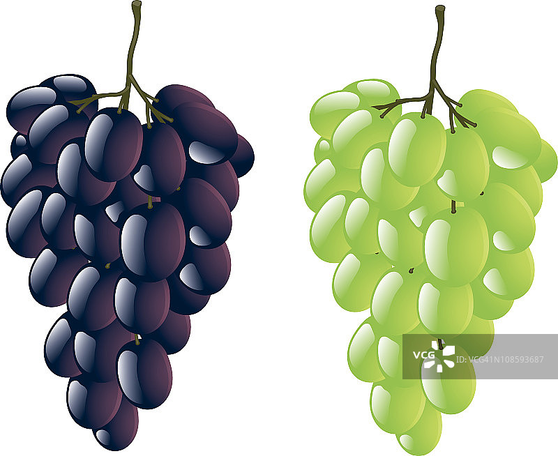 葡萄图片素材