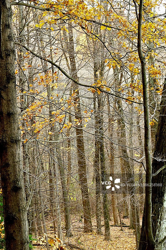 卡茨基尔山图片素材