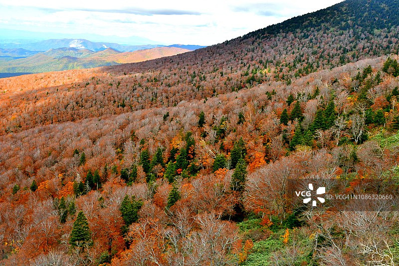青森县八甲田山顶公园的秋色景色图片素材