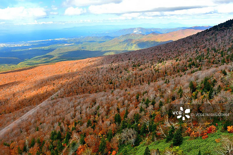 青森县八甲田山顶公园的秋色景色图片素材