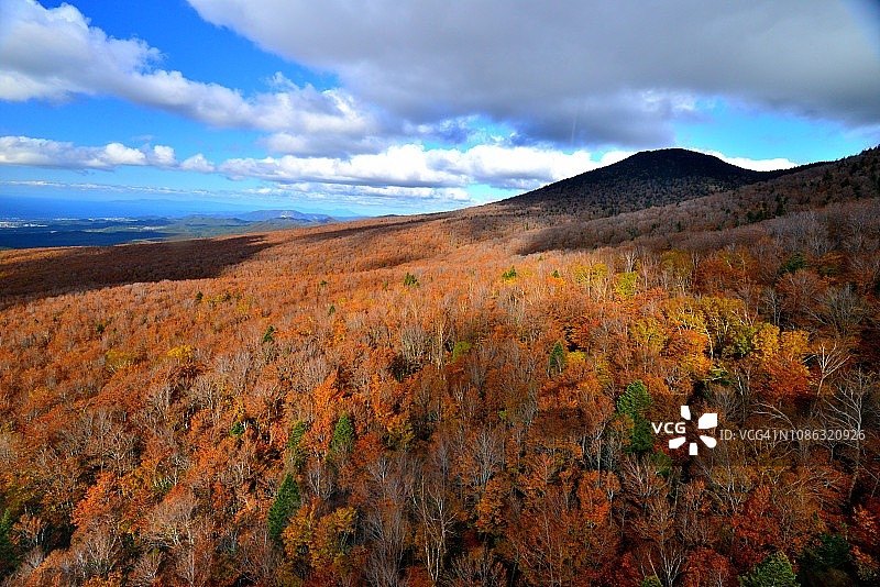 青森县八甲田山顶公园的秋色景色图片素材
