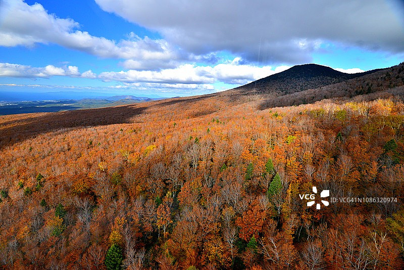 青森县八甲田山顶公园的秋色景色图片素材
