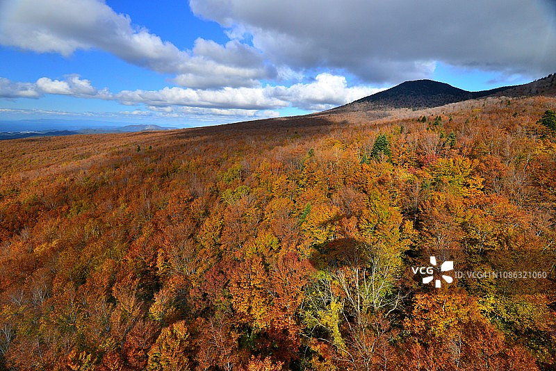 青森县八甲田山顶公园的秋色景色图片素材