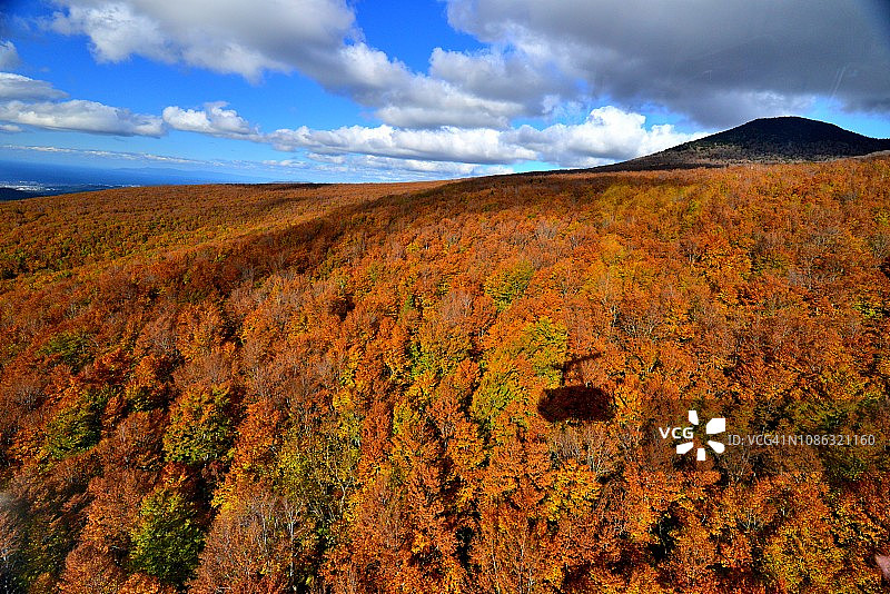青森县八甲田山顶公园的秋色景色图片素材