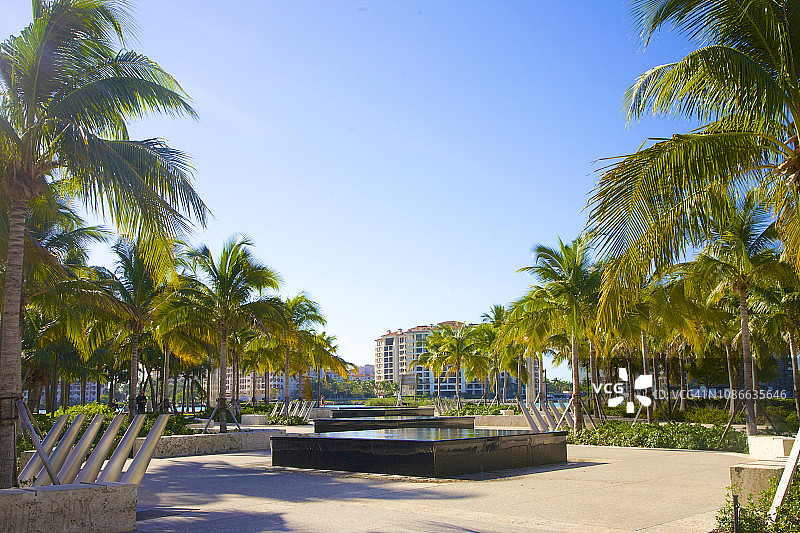 南海滩公园的喷泉和棕榈树，迈阿密海滩图片素材