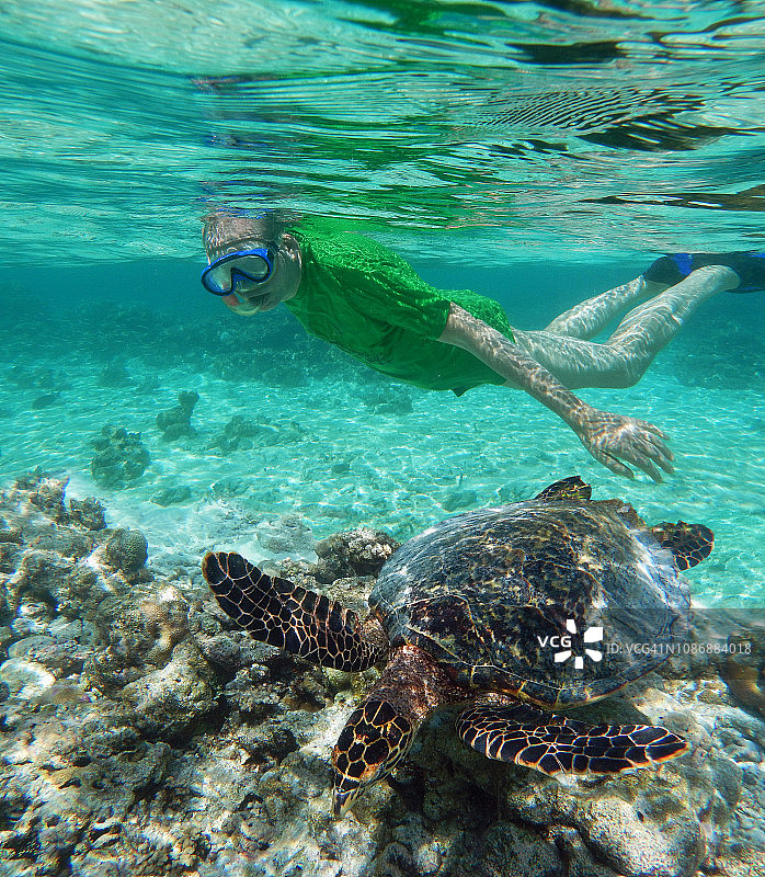 在马尔代夫泻湖与海龟浮潜的年长男人图片素材