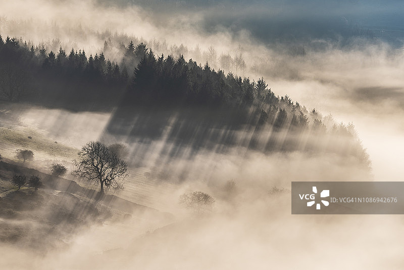 英国峰区巴斯洛边缘的雾中林地图片素材