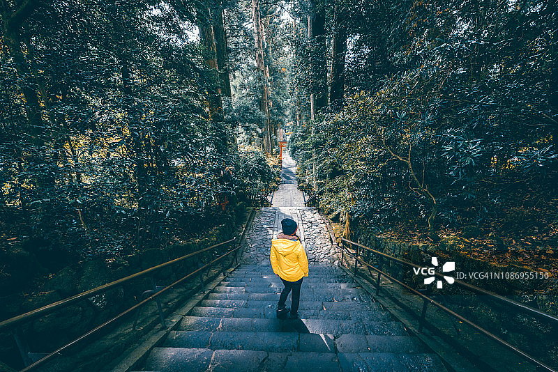 游客探索日本箱根的林地图片素材