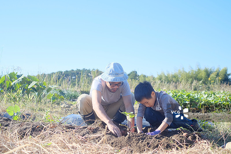 父子一起做农活图片素材