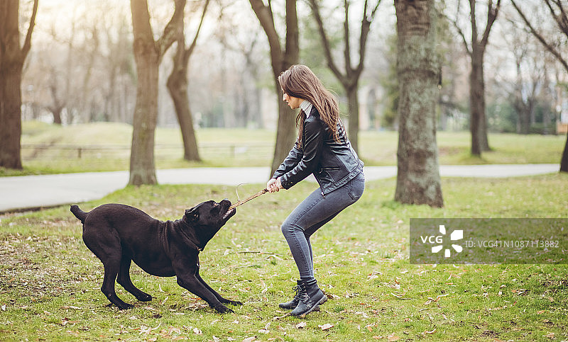 女人和那不勒斯獒犬宠物图片素材