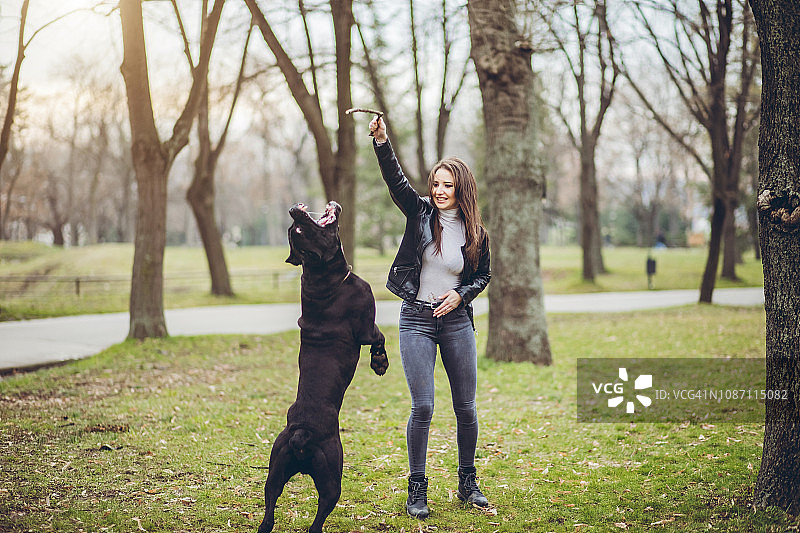 女人和那不勒斯獒犬宠物图片素材