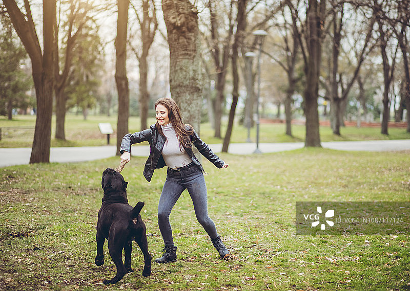 女人和那不勒斯獒犬宠物图片素材