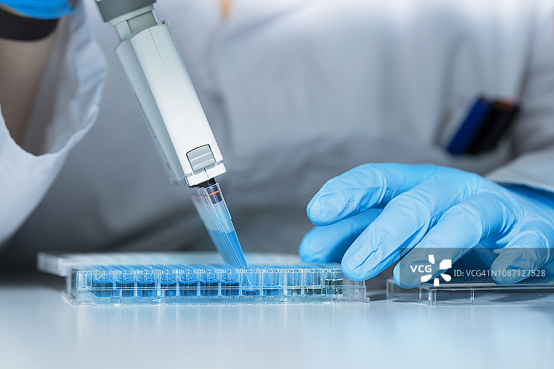 科学家使用多通道移液器图片素材