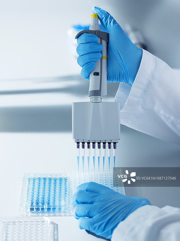 科学家使用多通道移液器图片素材