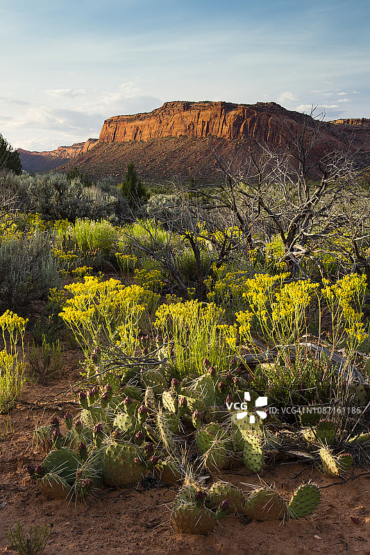 美国犹他州梳状岭春季日落图片素材