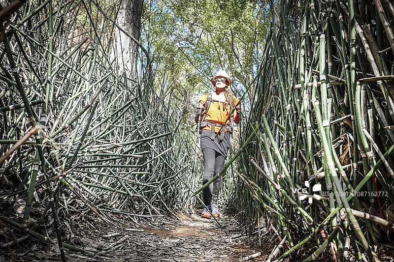 徒步者沿着美国犹他州Hayduke小径在芦苇中行走图片素材