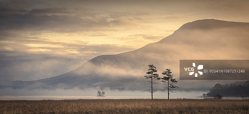 苏格兰图拉湖岸边的松树图片素材