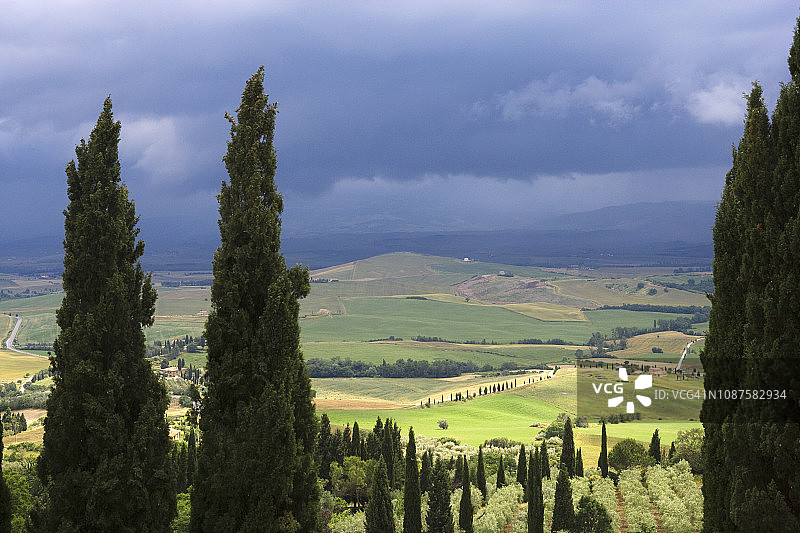 皮恩扎图片素材