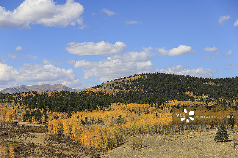 科罗拉多州基诺沙隘口秋季森林景色图片素材
