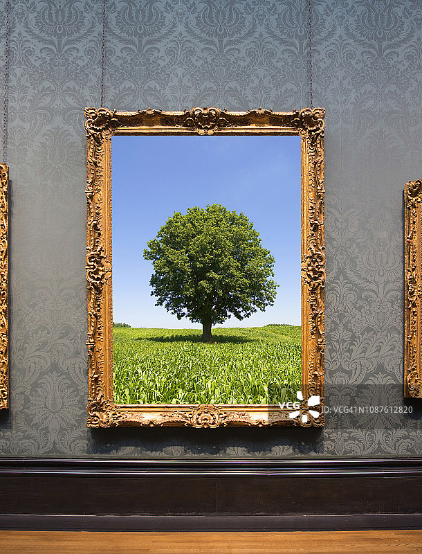 挂在墙上的画框照片图片素材