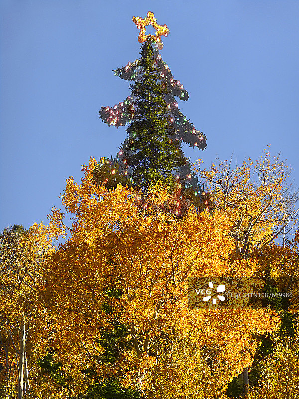 犹他州的秋色与圣诞树图片素材