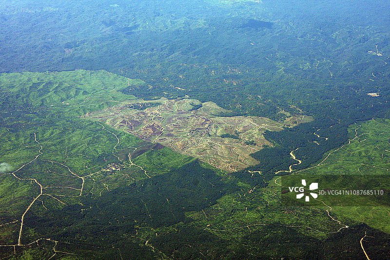 棕榈油森林砍伐图片素材