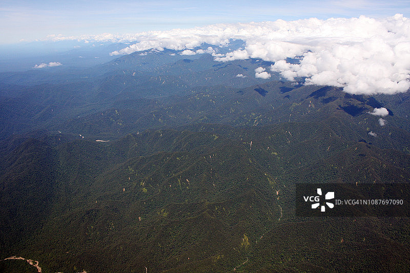 新几内亚雨林图片素材